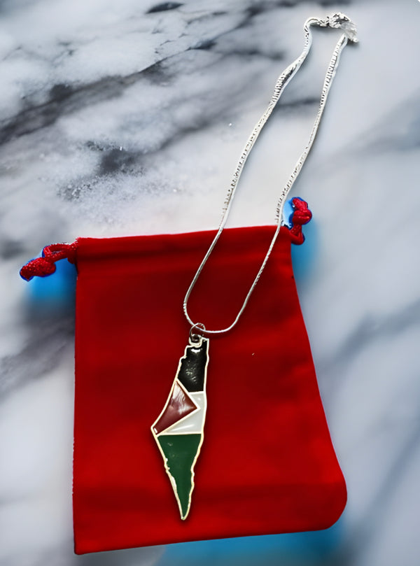 Palestine coloured map pendant with chain